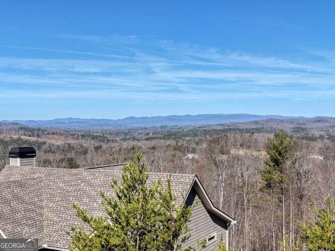 2081 Gallatin Road Young Harris - Photo 33