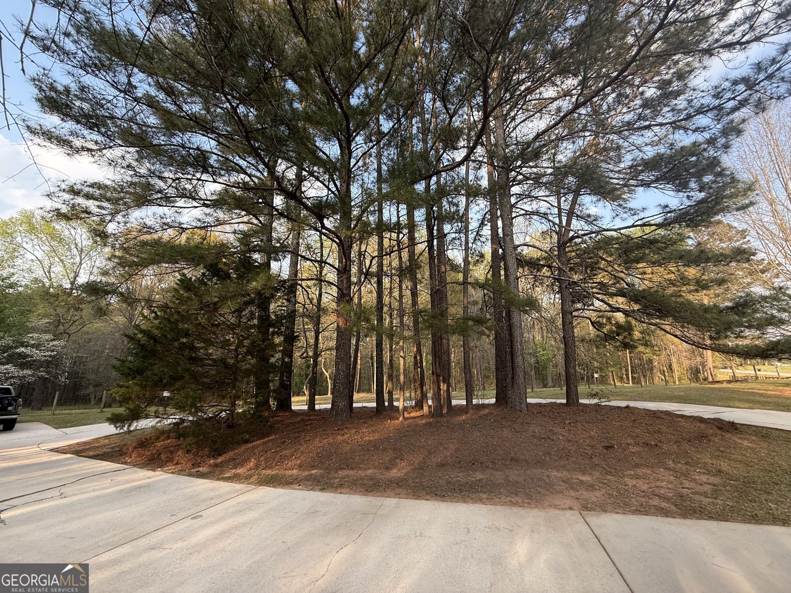 1205 County Line Road Griffin - Photo 30