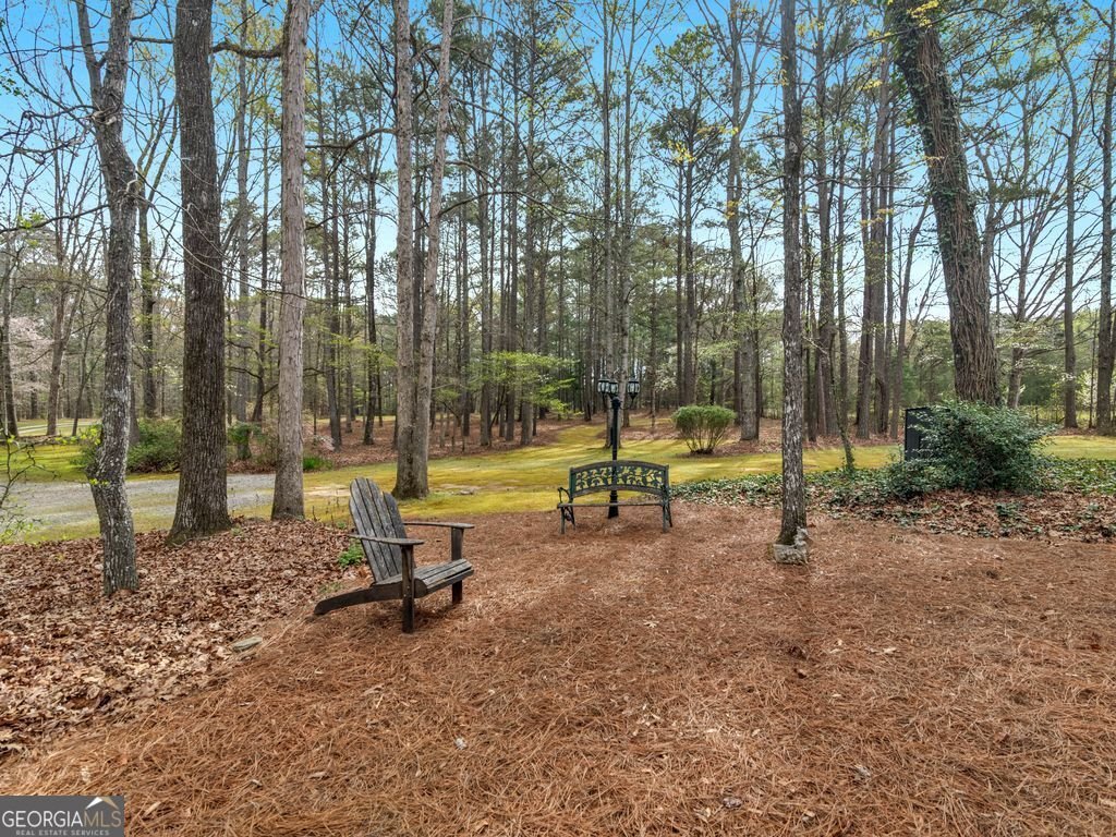 700 Mount Carmel Road McDonough - Photo 30