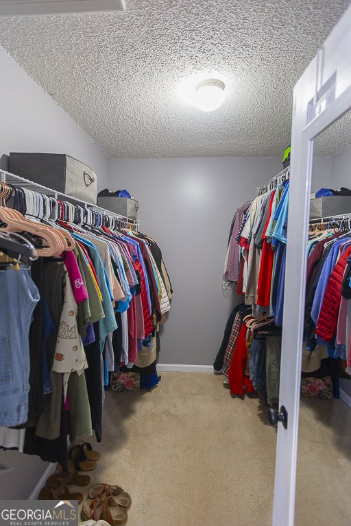 2216 Wagon Wheel Trail Statham - Photo 27