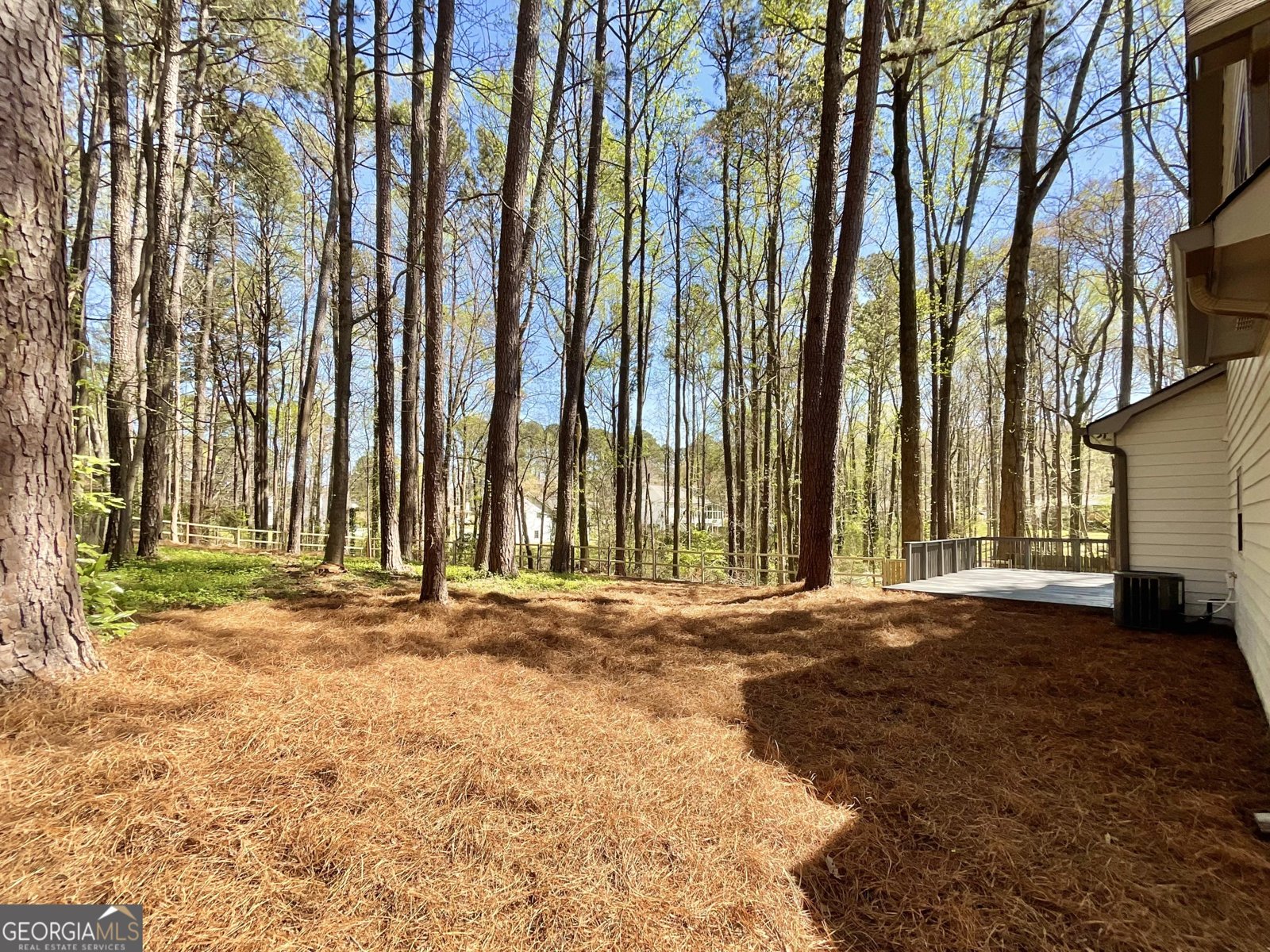 202 Crabapple Lane Powder Springs - Photo 41