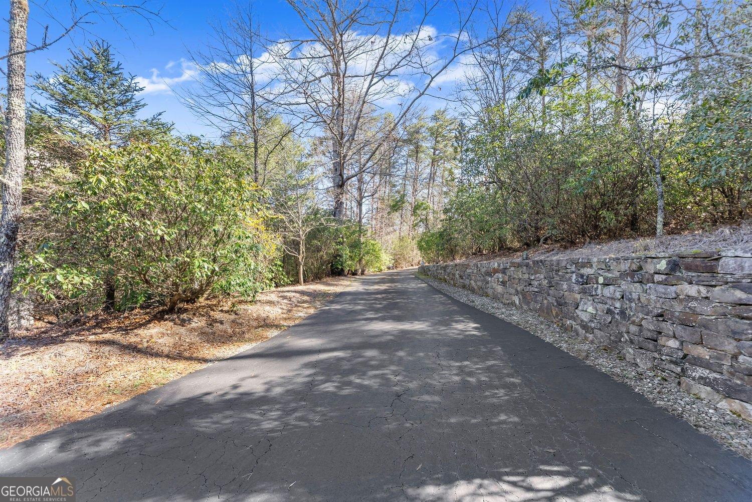 650 Northwind Sautee Nacoochee - Photo 45