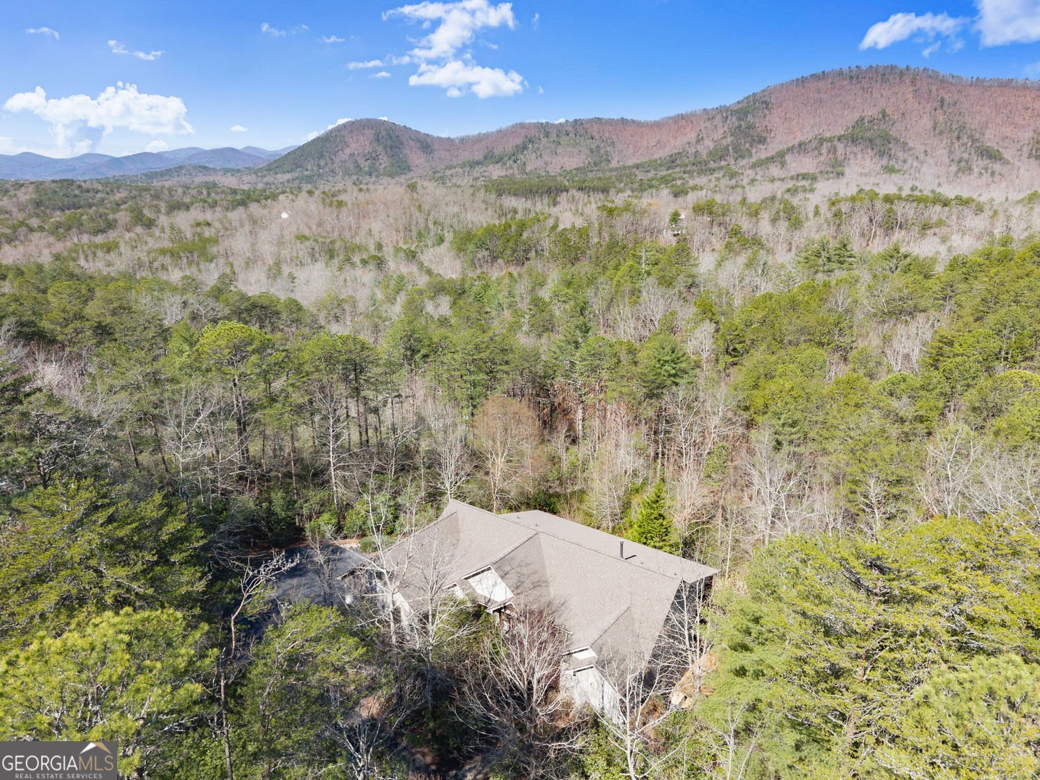 650 Northwind Sautee Nacoochee - Photo 47