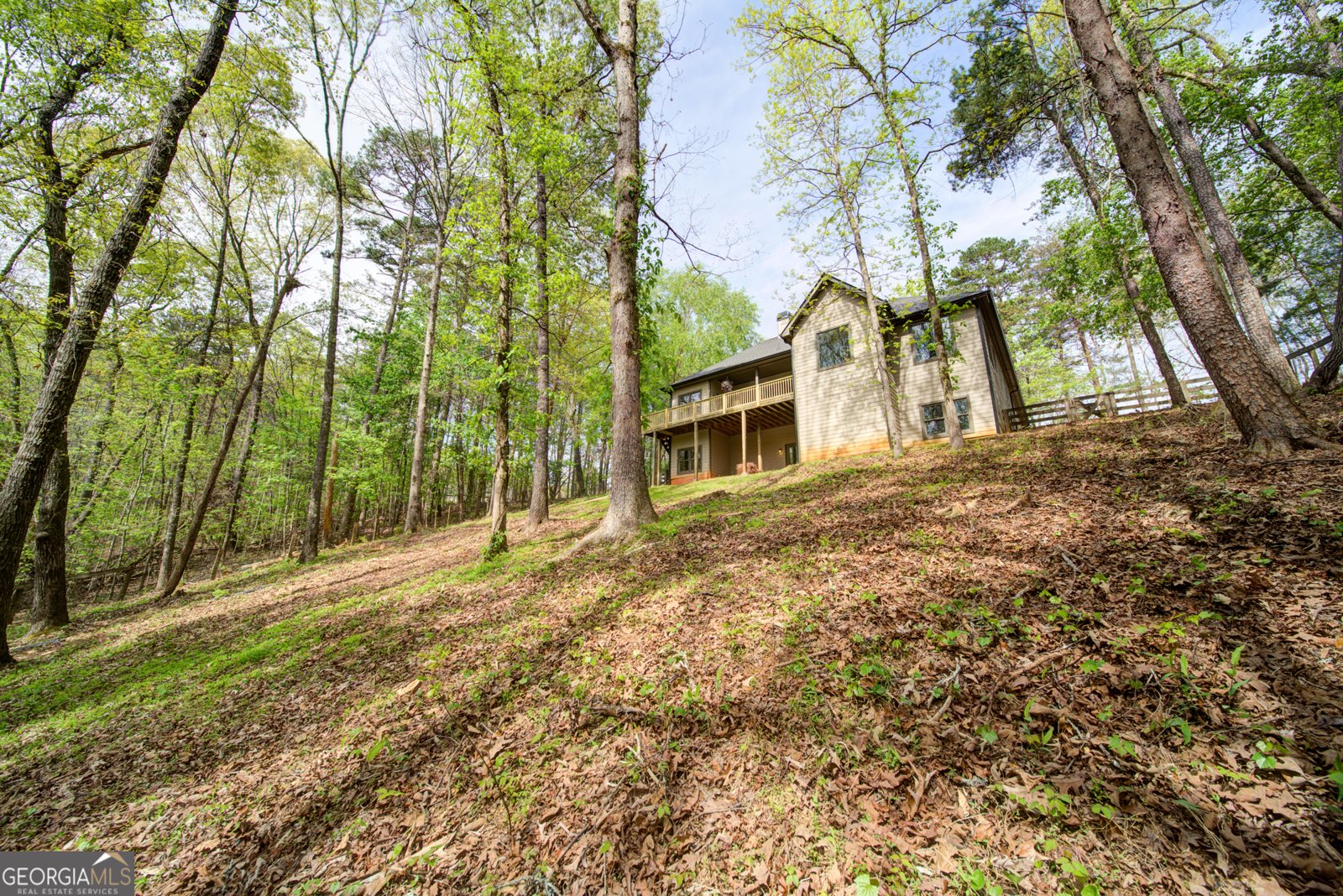 558 Deans Drive Dawsonville - Photo 48