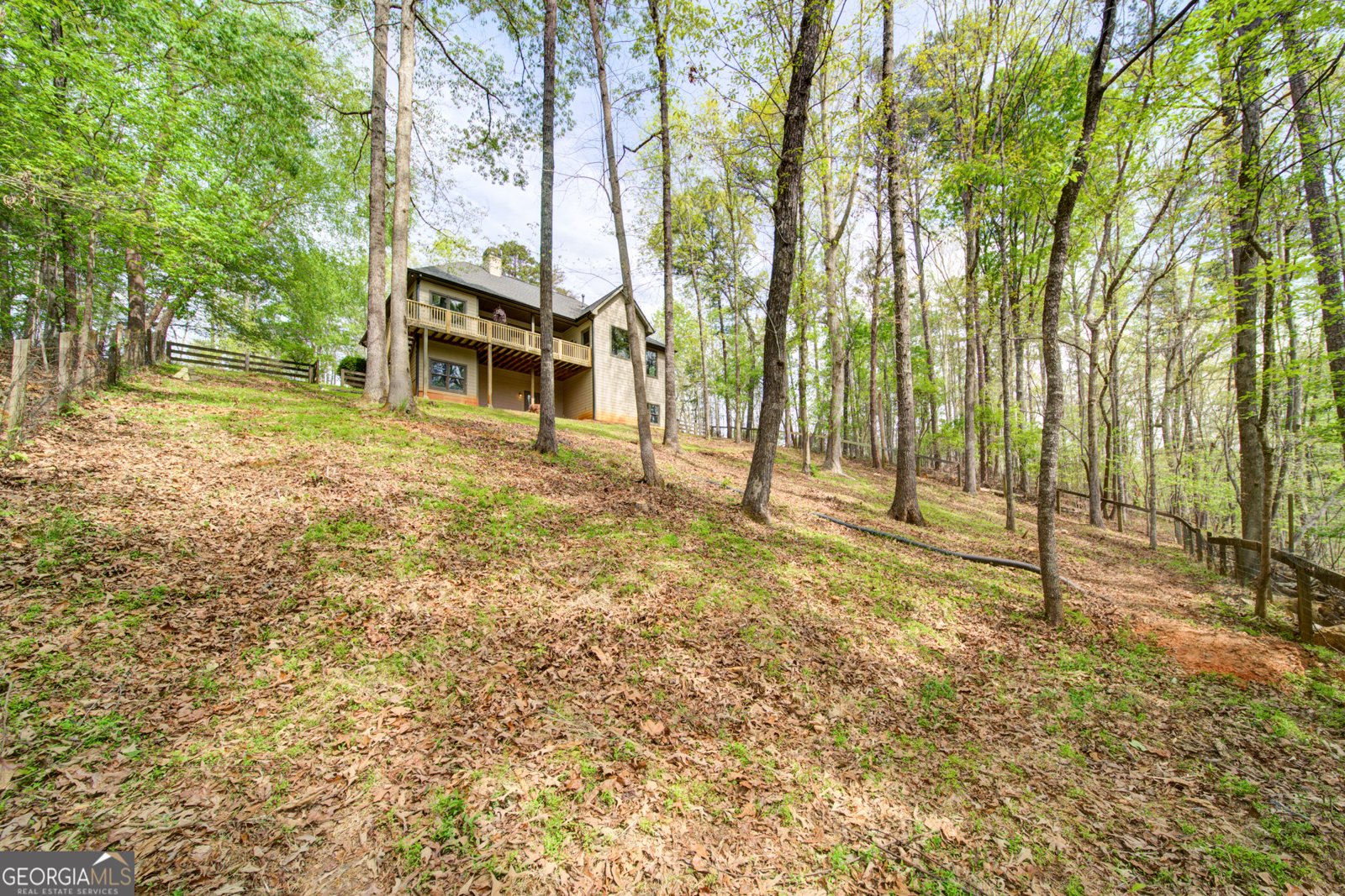 558 Deans Drive Dawsonville - Photo 49