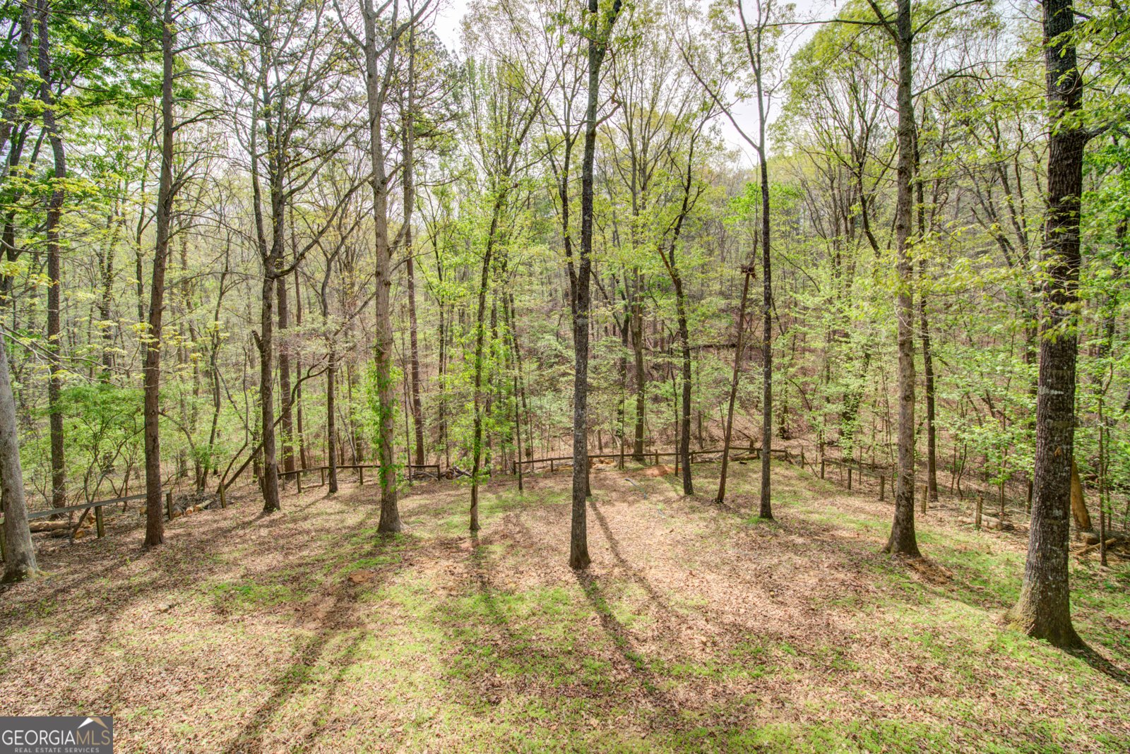 558 Deans Drive Dawsonville - Photo 50