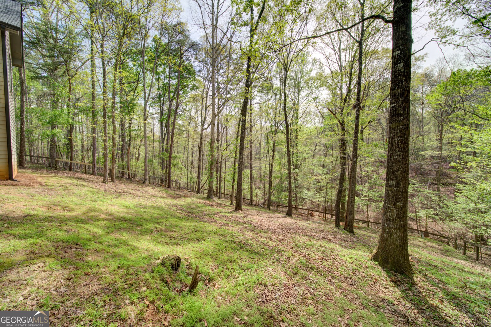 558 Deans Drive Dawsonville - Photo 51