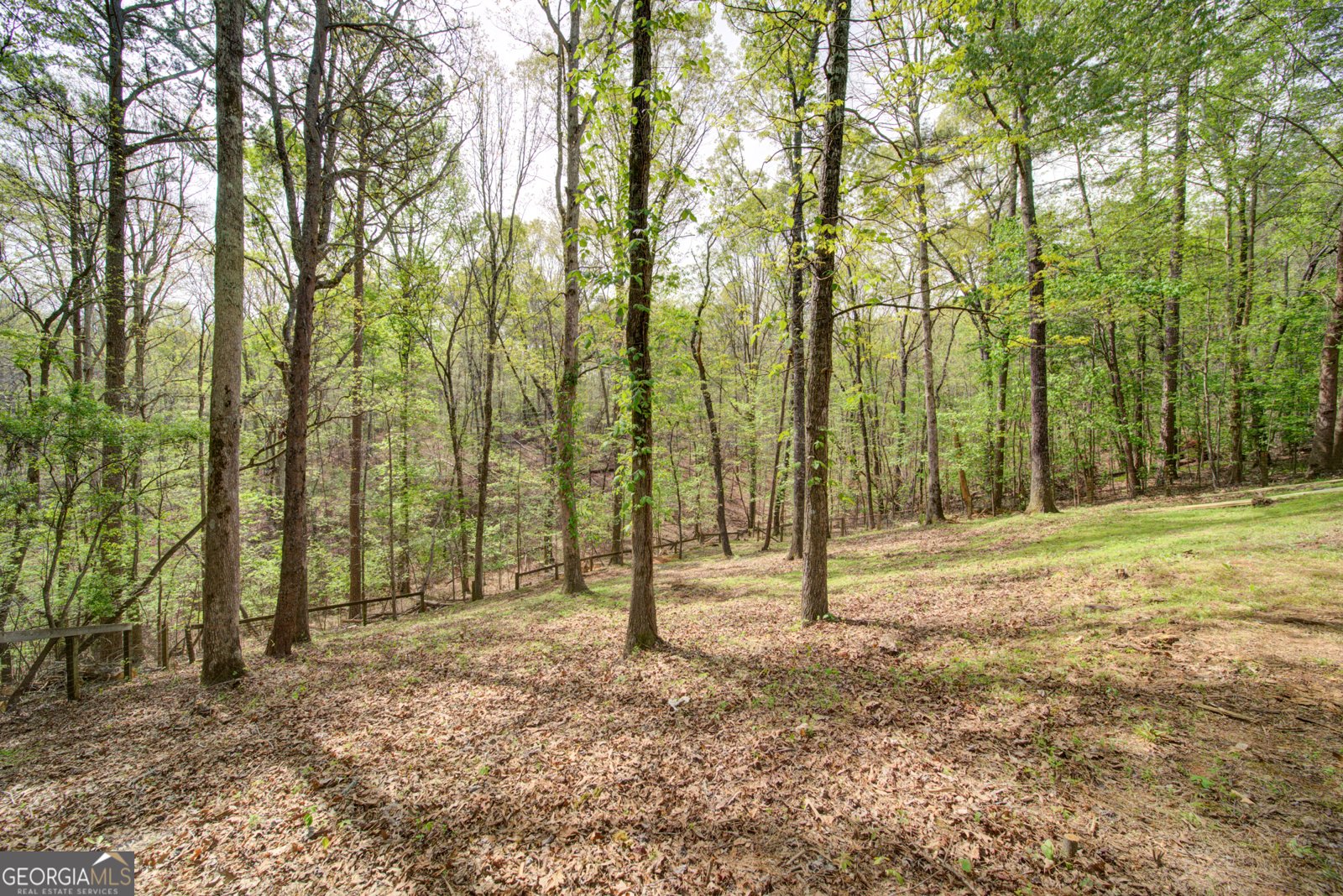 558 Deans Drive Dawsonville - Photo 52