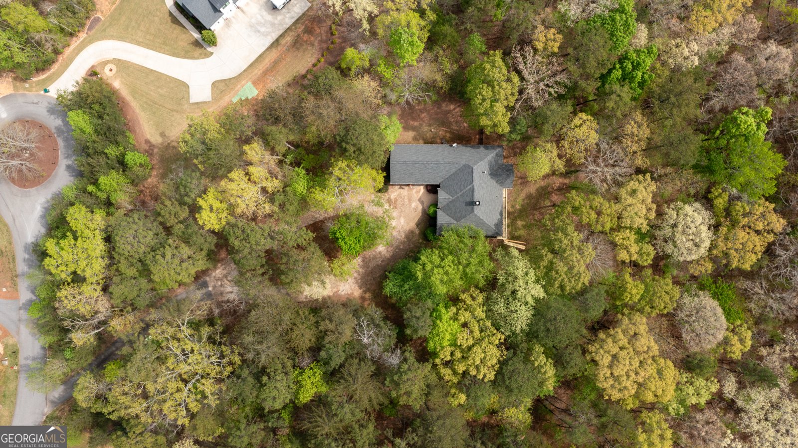 558 Deans Drive Dawsonville - Photo 53