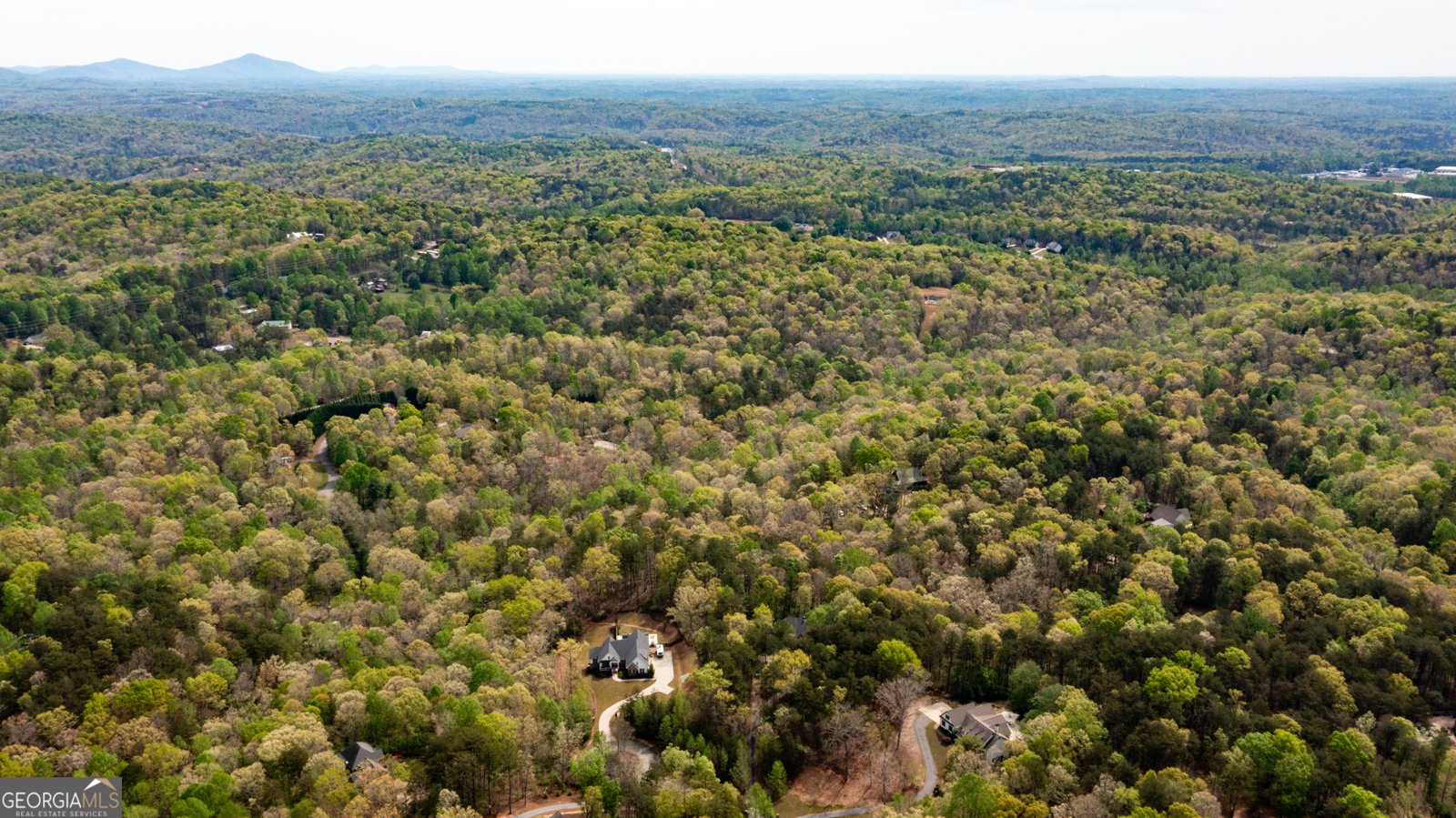 558 Deans Drive Dawsonville - Photo 54