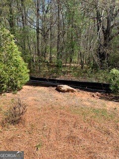 1310 Aura Lane Lawrenceville - Photo 26