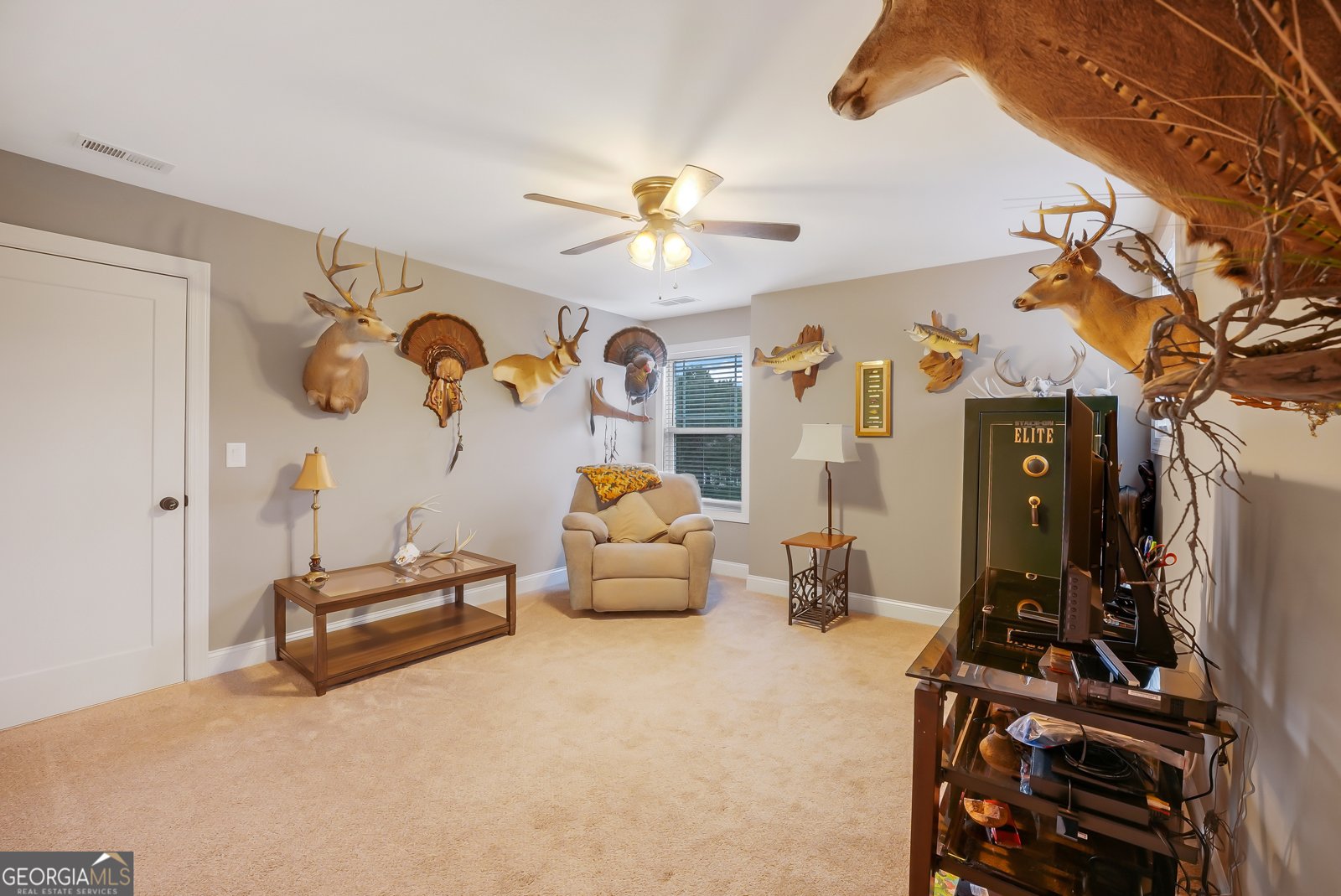 933 Ashley Glen Drive Williamson - Photo 33