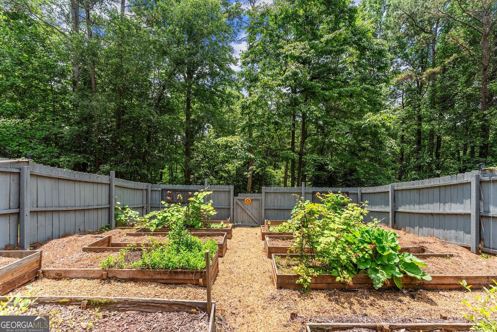 149 Highland Road Dahlonega - Photo 64