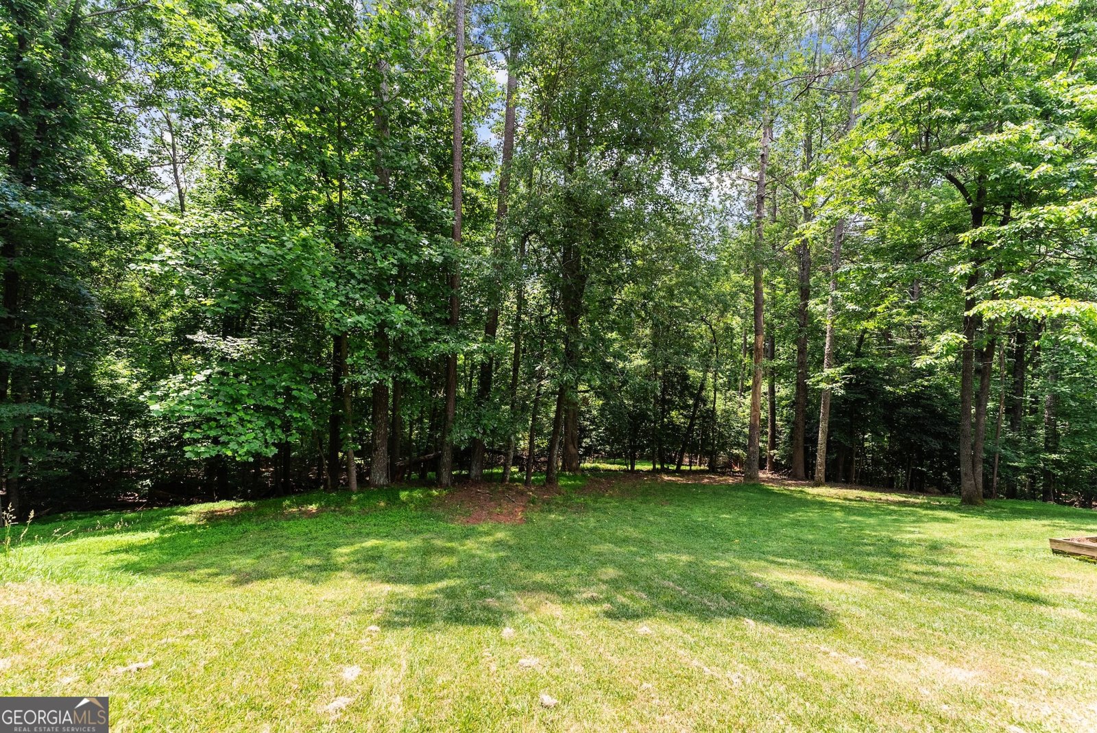 149 Highland Road Dahlonega - Photo 66