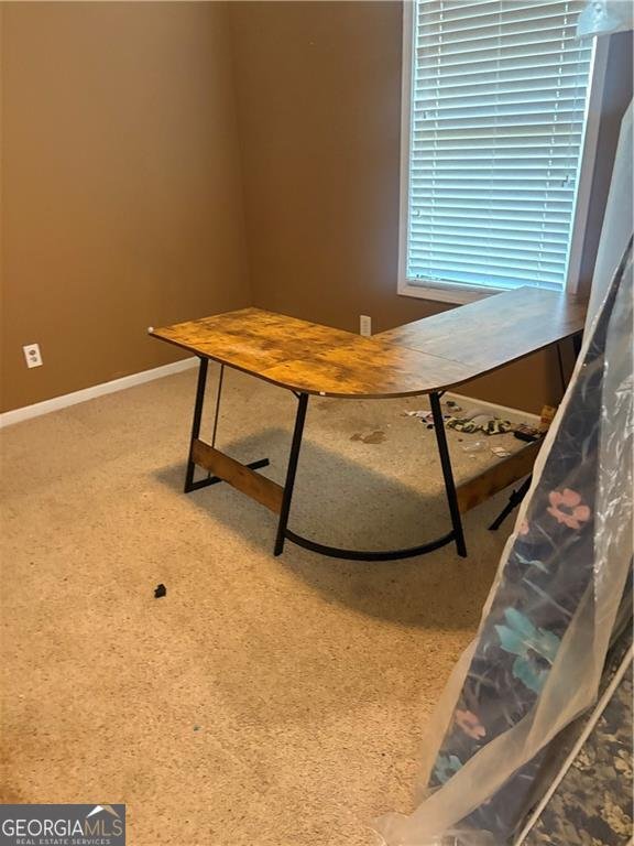 215 Hastings Court McDonough - Photo 16