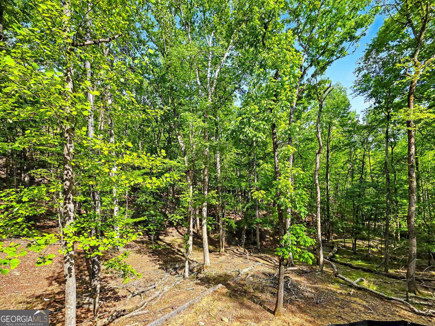 145 Jack Rabbit Drive Waleska - Photo 31