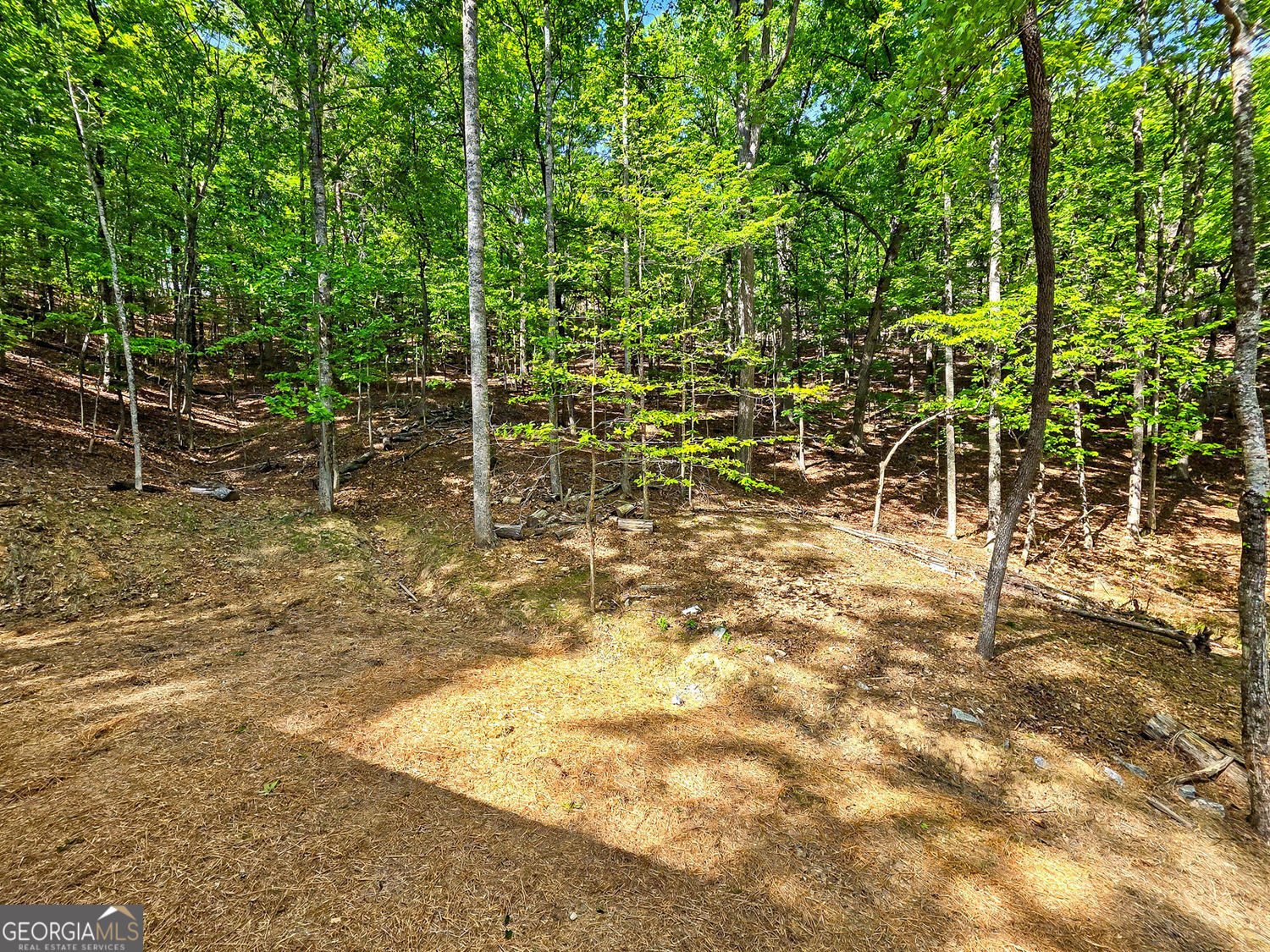 145 Jack Rabbit Drive Waleska - Photo 32