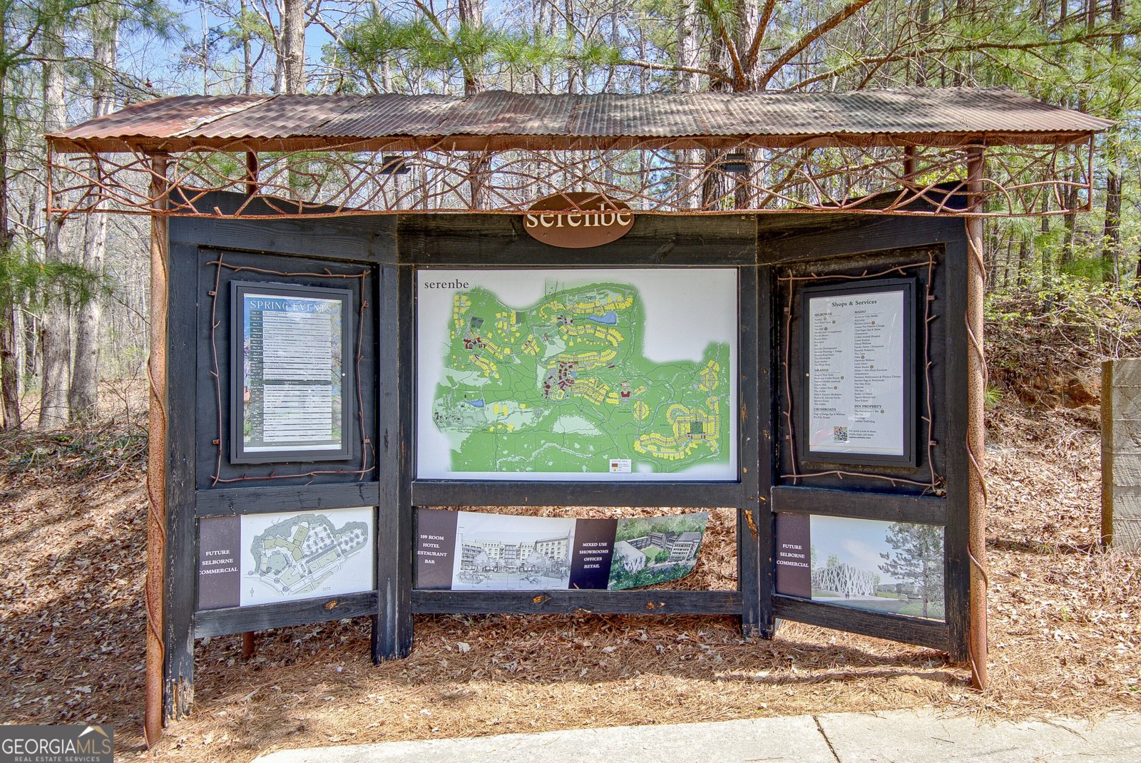 10861 Serenbe Lane Chattahoochee Hills - Photo 49