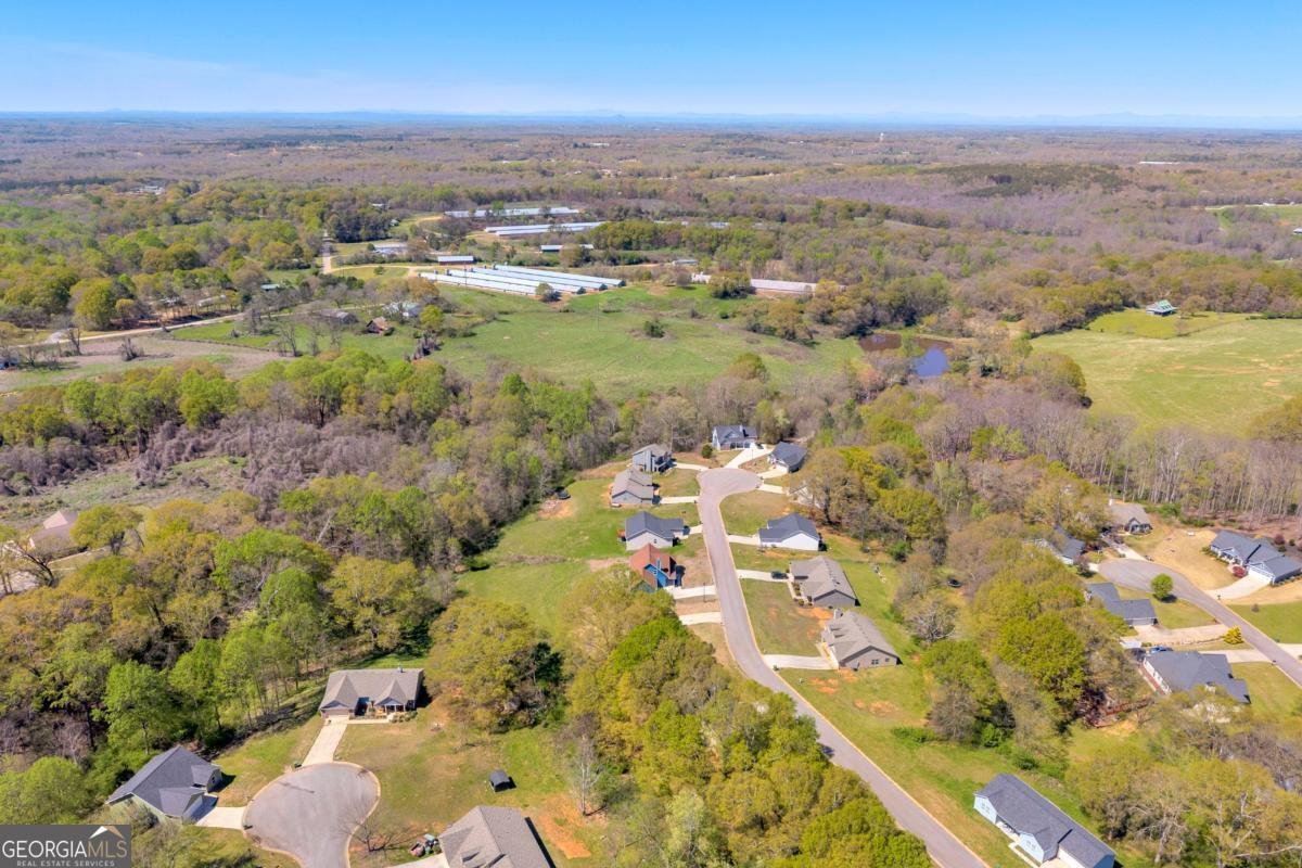 265 Cobb Drive Royston - Photo 59