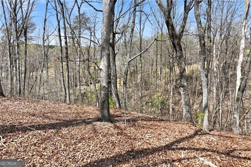 5260 Britt Whitmire Road Gainesville - Photo 17