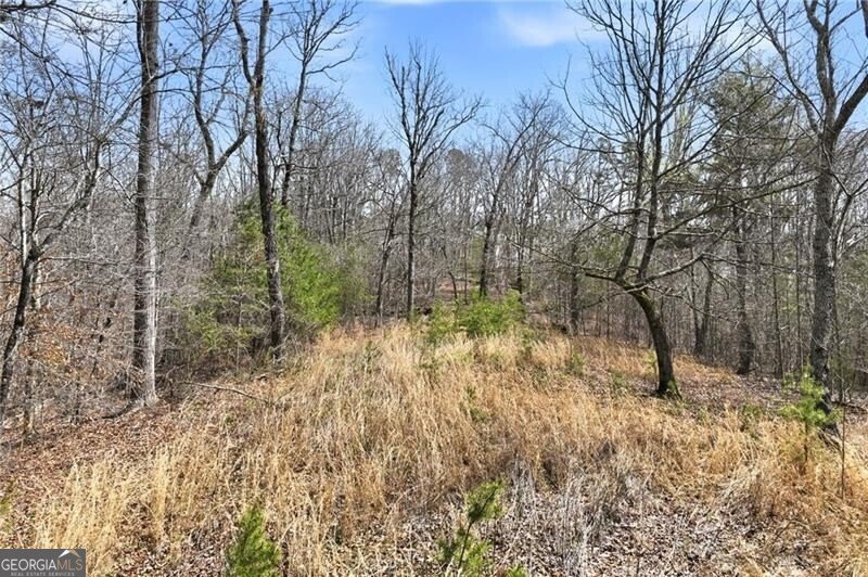 5260 Britt Whitmire Road Gainesville - Photo 18