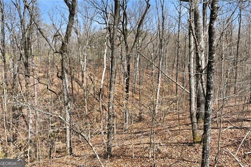 5260 Britt Whitmire Road Gainesville - Photo 19