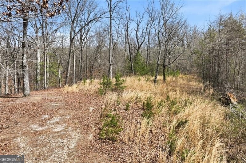 5260 Britt Whitmire Road Gainesville - Photo 20