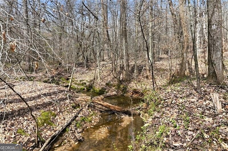 5260 Britt Whitmire Road Gainesville - Photo 23