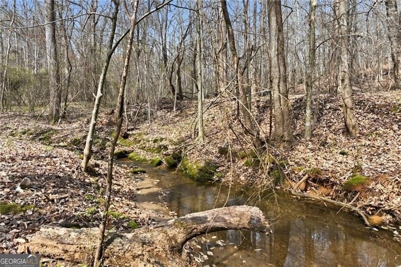 5260 Britt Whitmire Road Gainesville - Photo 24