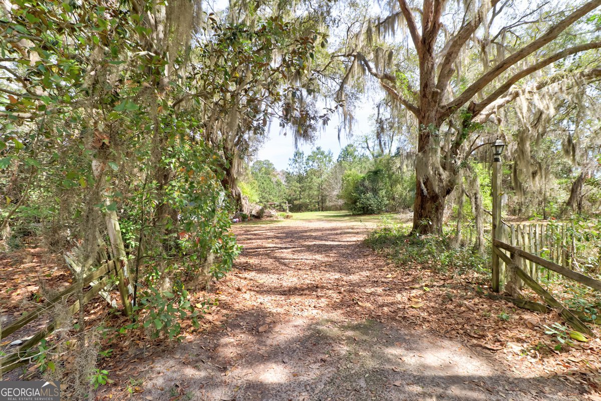 1679 Hodgeville Road Rincon - Photo 24