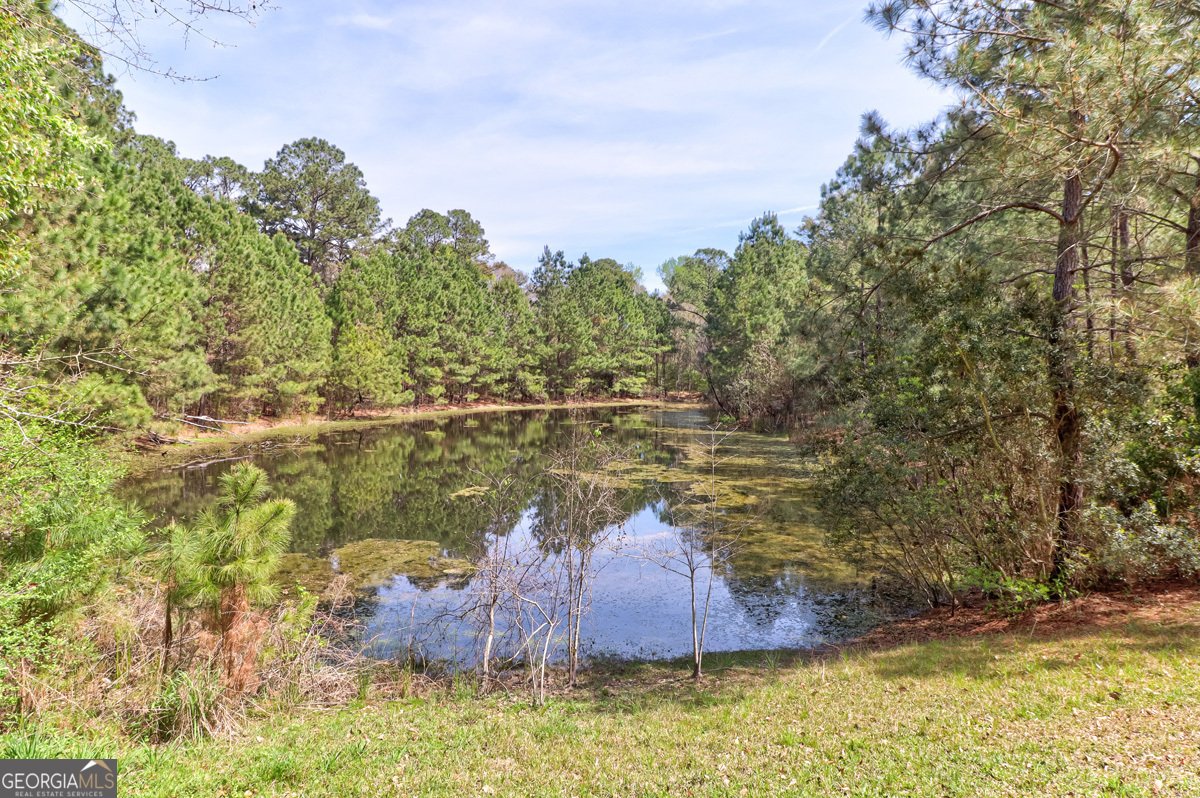 1679 Hodgeville Road Rincon - Photo 25