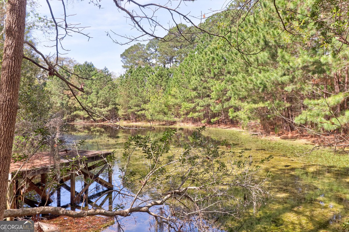 1679 Hodgeville Road Rincon - Photo 26