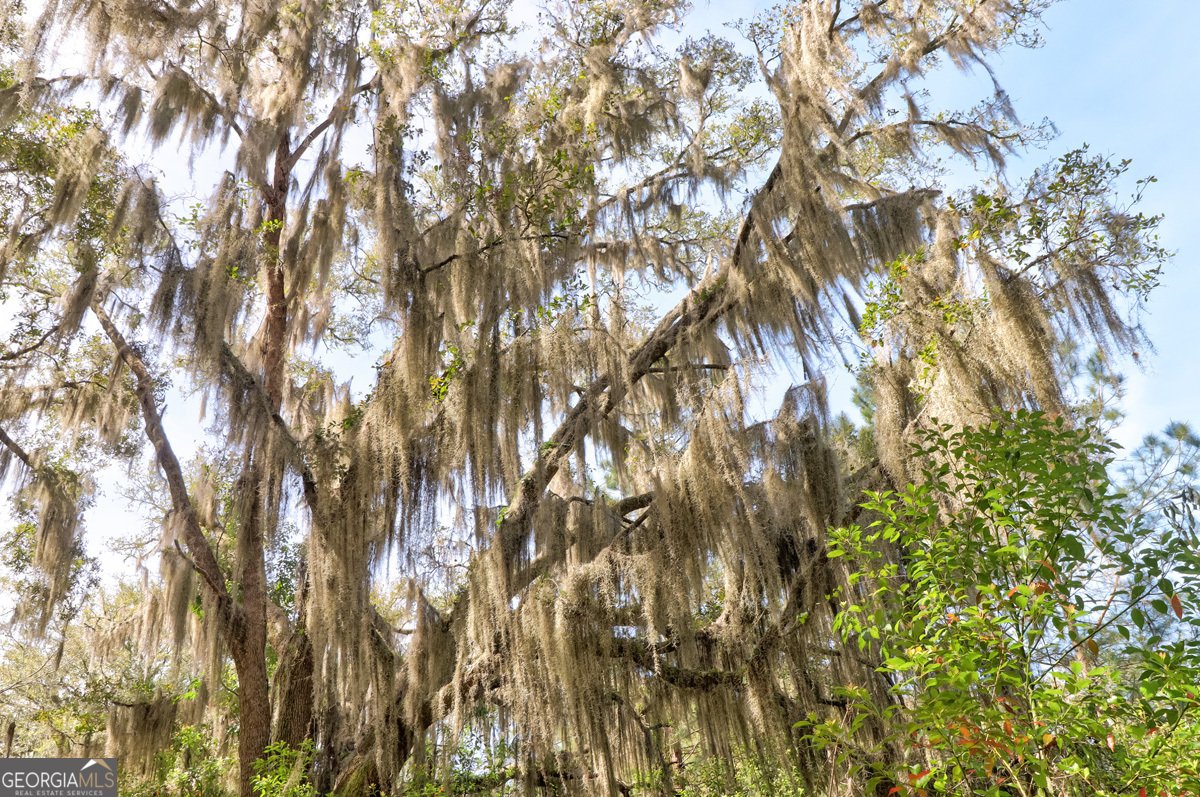 1679 Hodgeville Road Rincon - Photo 27