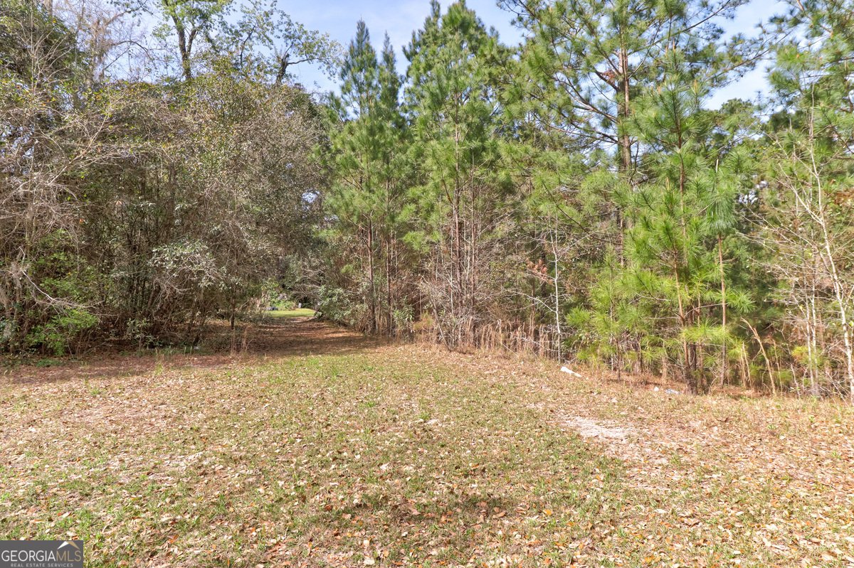 1679 Hodgeville Road Rincon - Photo 28