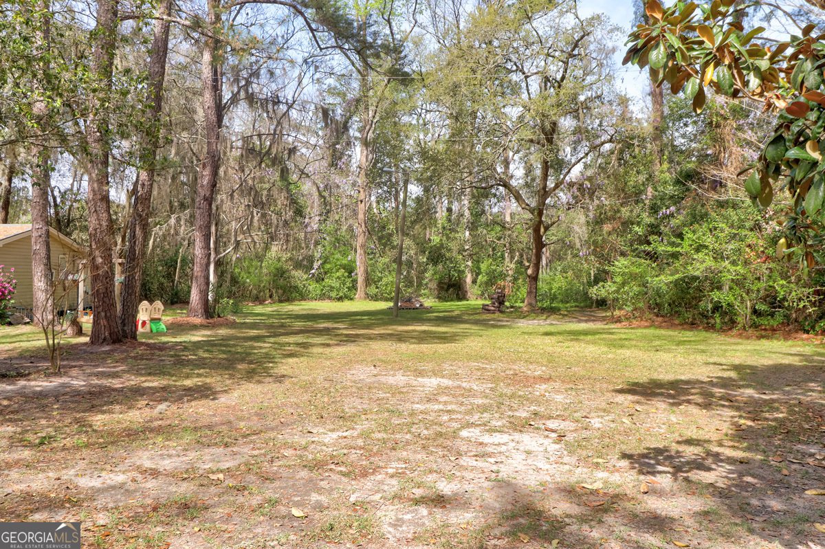 1679 Hodgeville Road Rincon - Photo 30