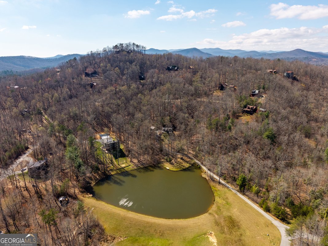 91 Whispering Lake Way Blue Ridge - Photo 24