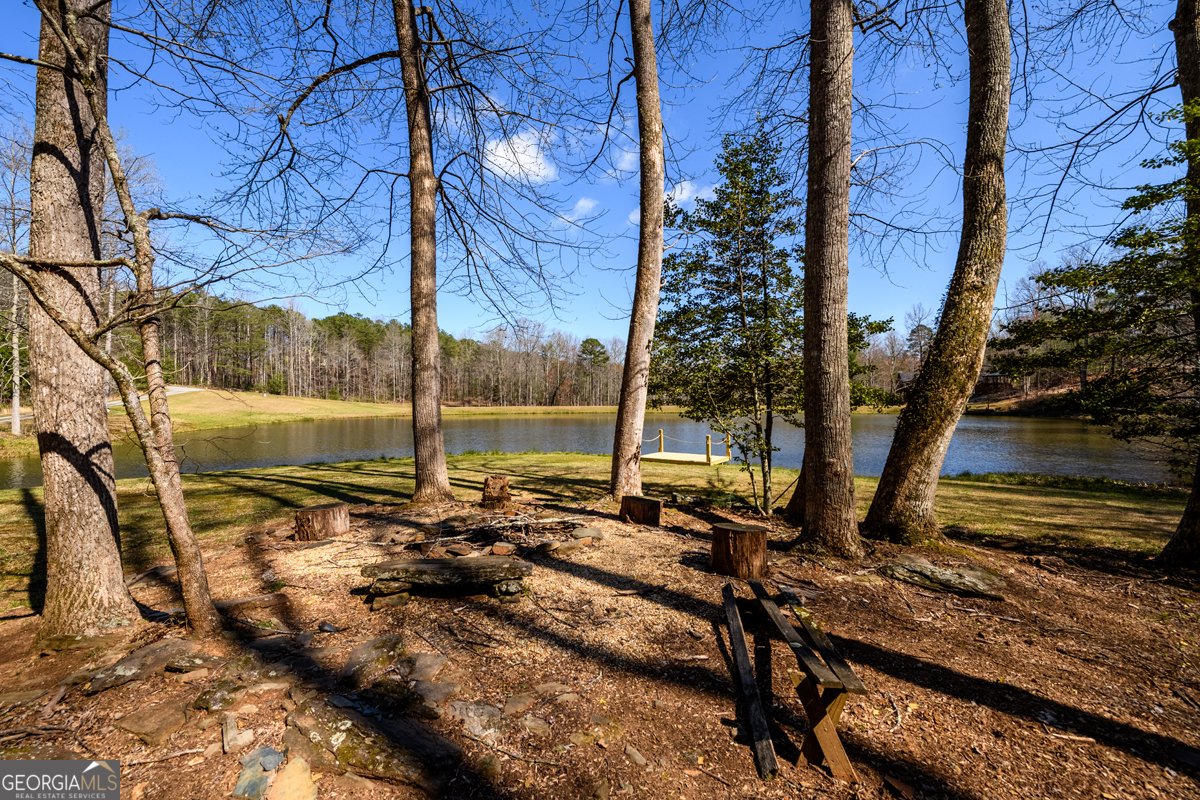 91 Whispering Lake Way Blue Ridge - Photo 25