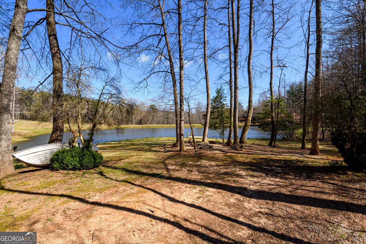 91 Whispering Lake Way Blue Ridge - Photo 32