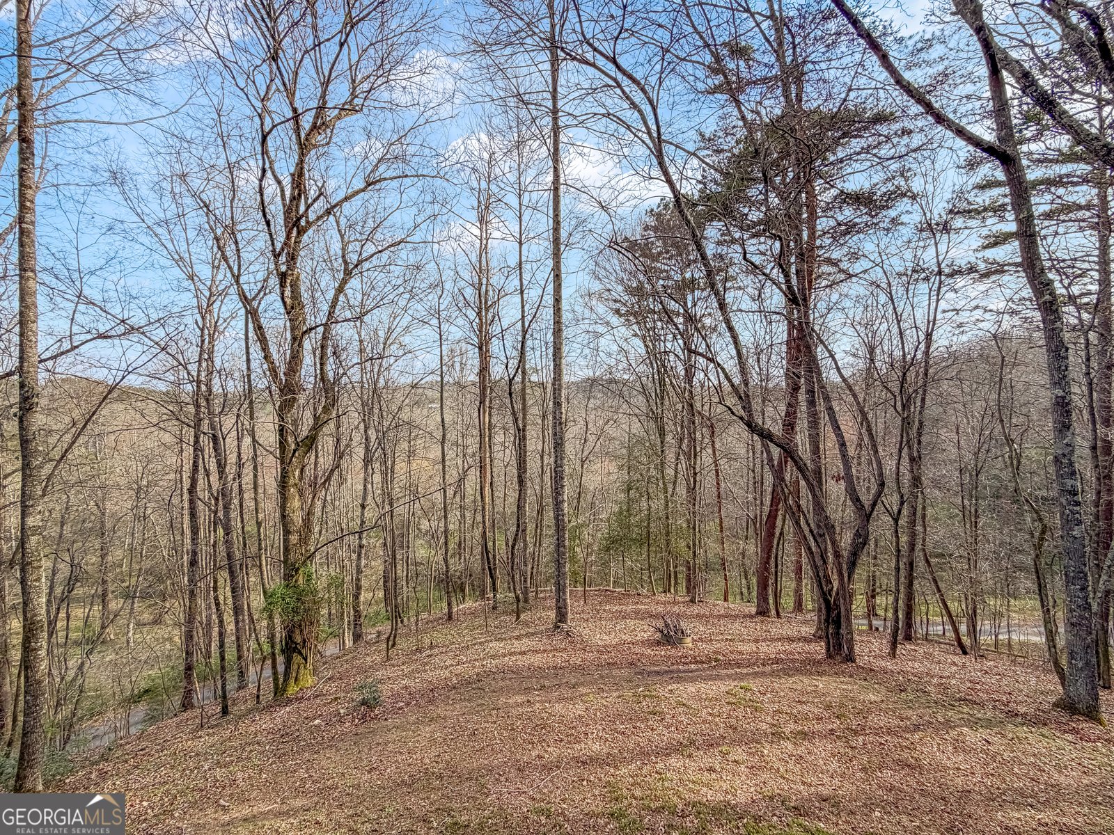 82 Dawgs Drive Mineral Bluff - Photo 32