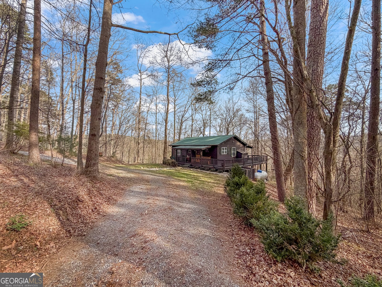 82 Dawgs Drive Mineral Bluff - Photo 33