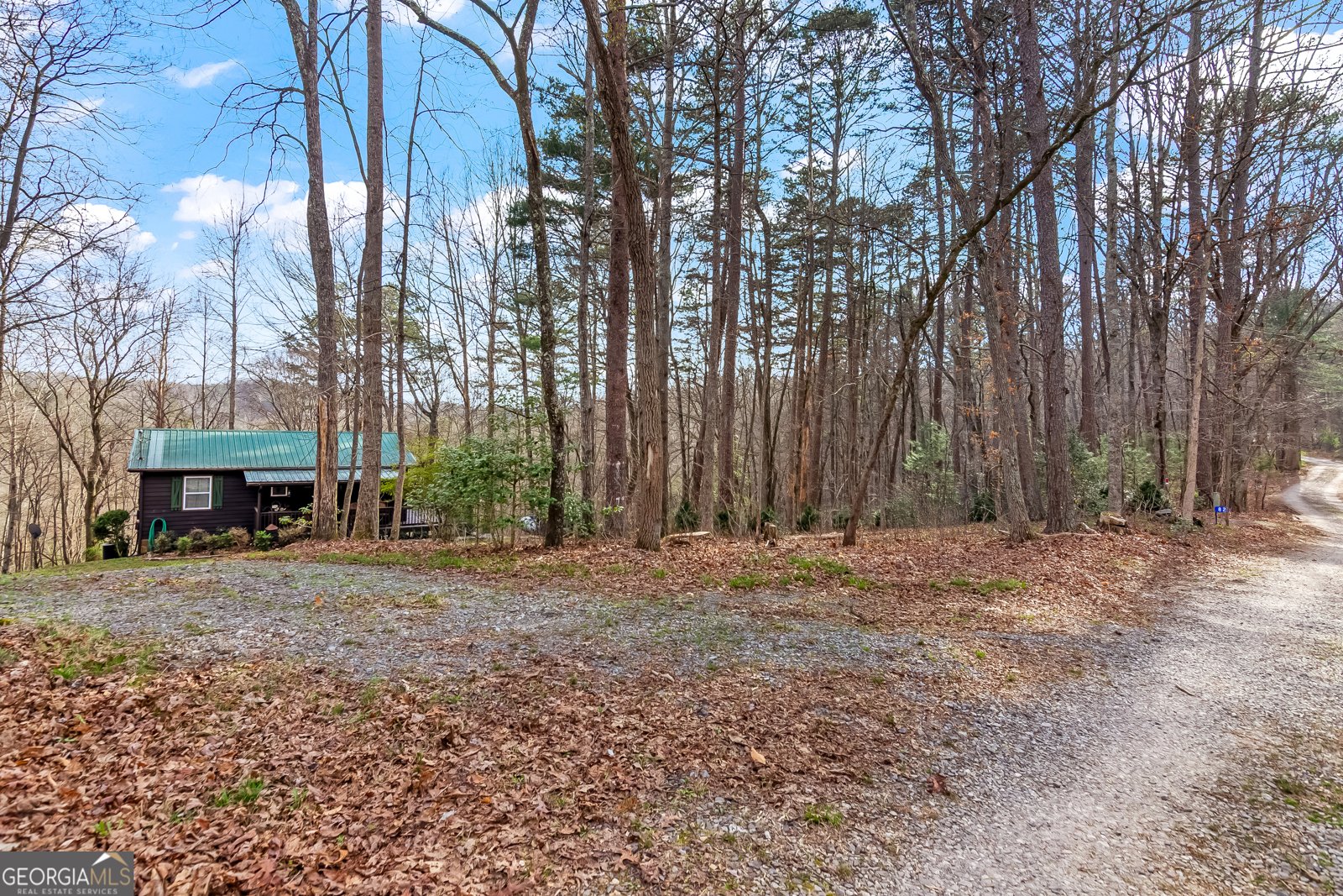 82 Dawgs Drive Mineral Bluff - Photo 38