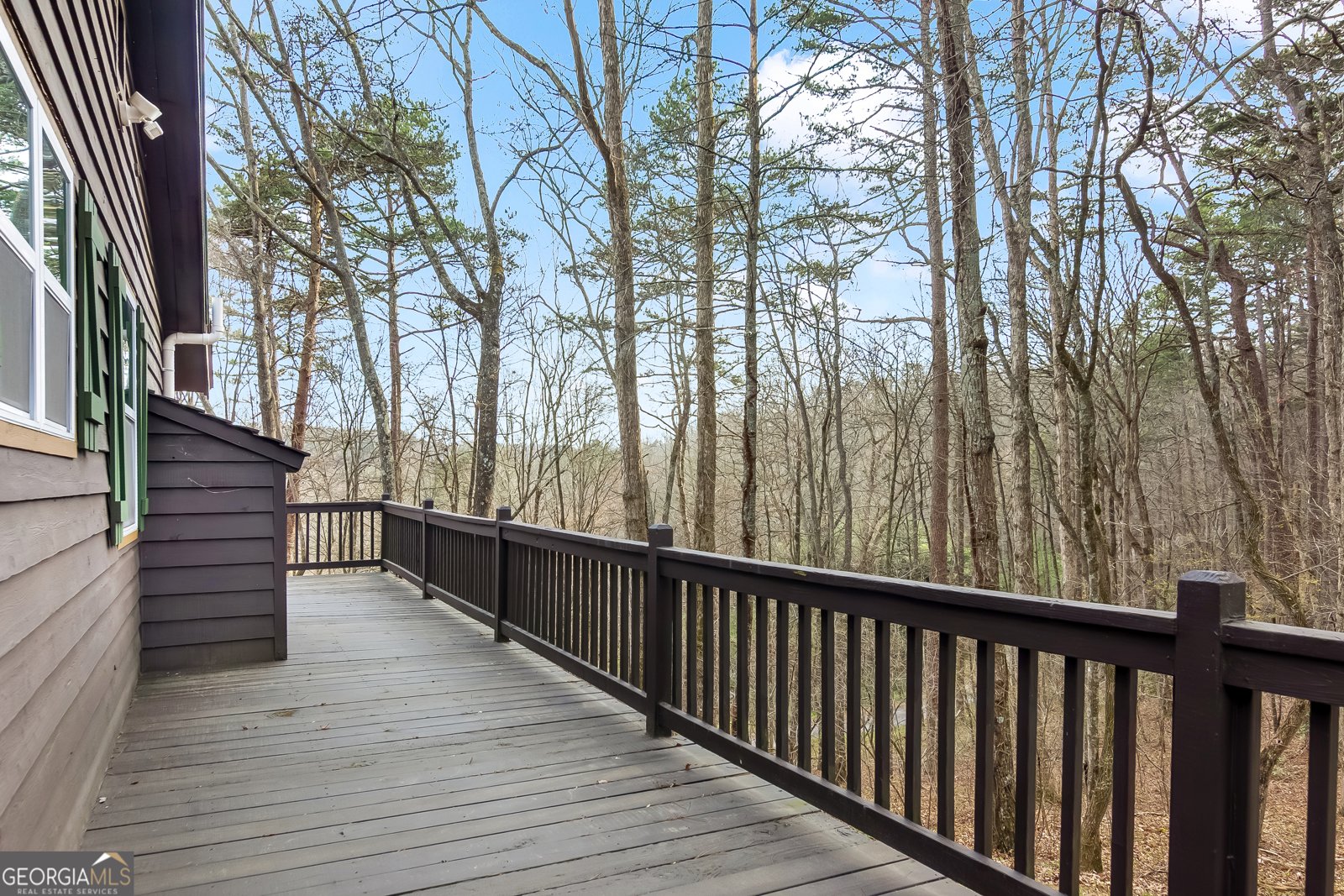 82 Dawgs Drive Mineral Bluff - Photo 41