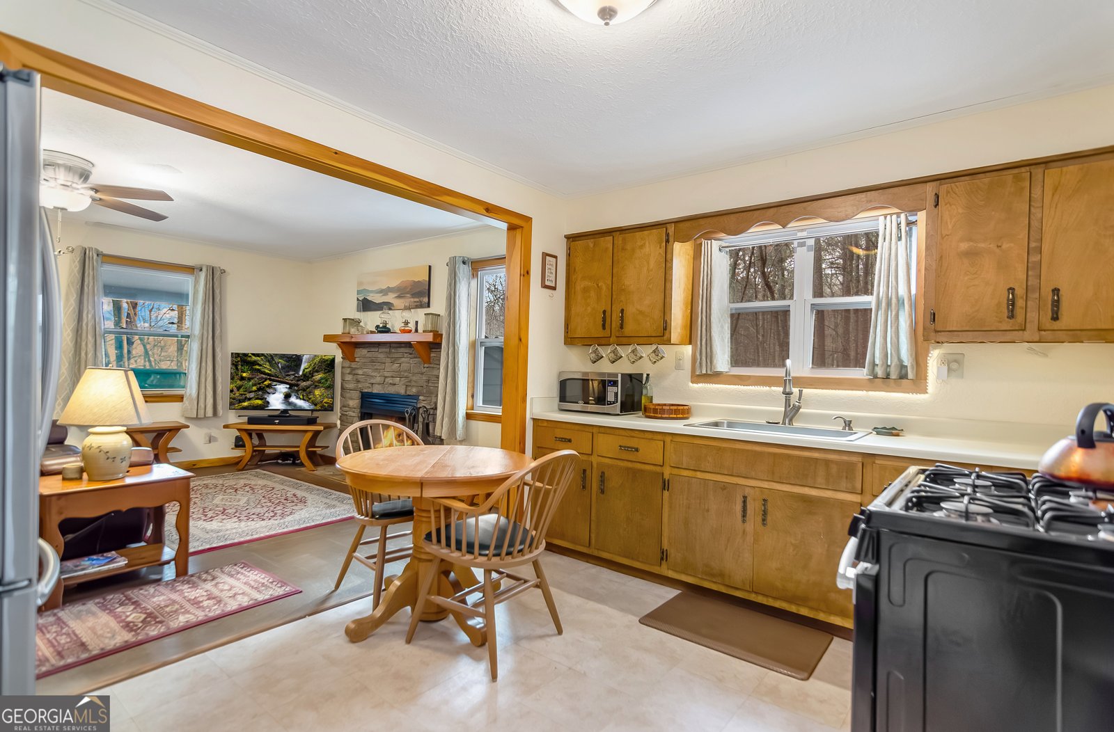 82 Dawgs Drive Mineral Bluff - Photo 6