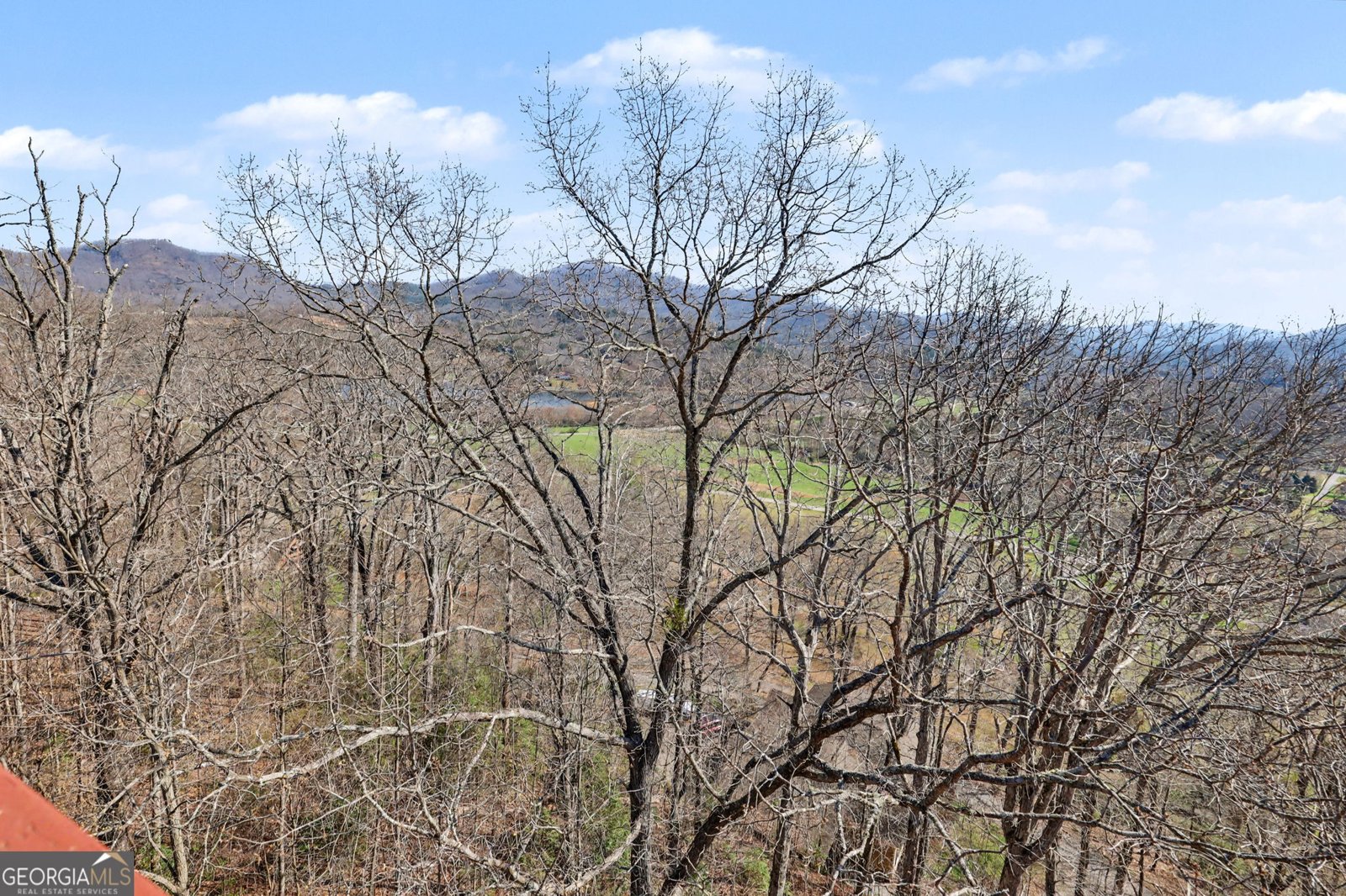 1613 Clark Drive Hiawassee - Photo 54