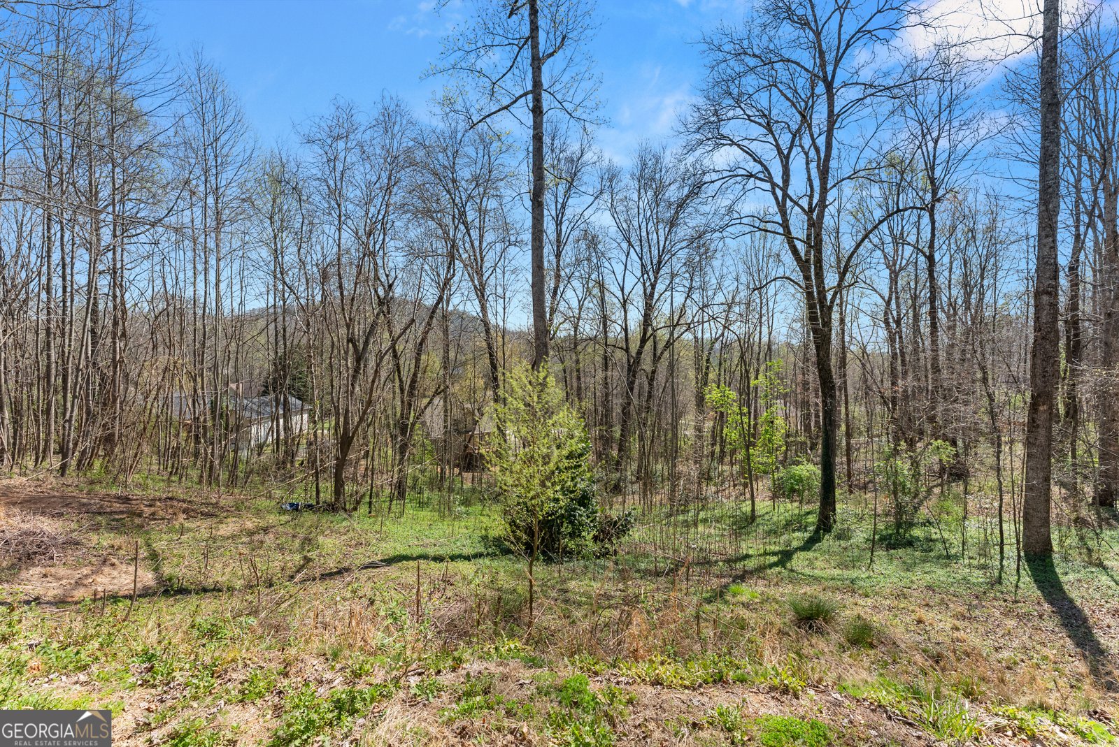 426 Old Clarksville Highway Cleveland - Photo 31