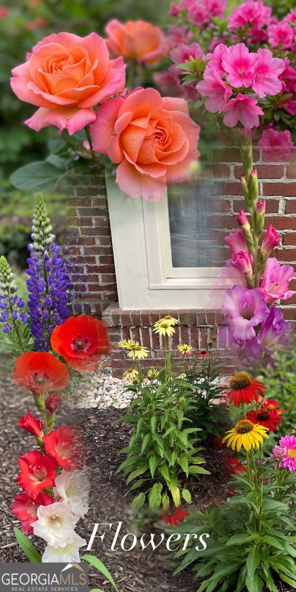 127 Stargaze Ridge Canton - Photo 17