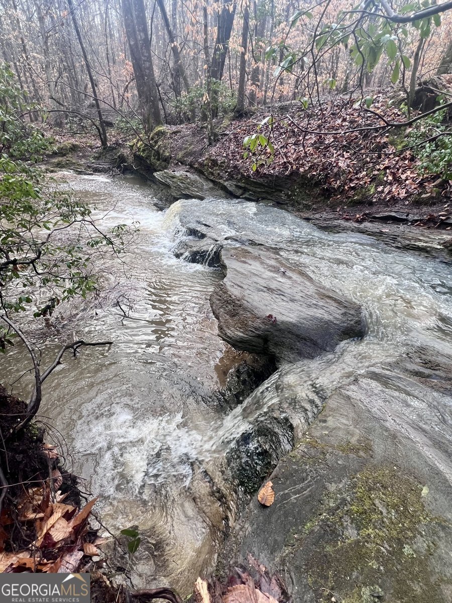 100 Buckwood Farms Path Dallas - Photo 100