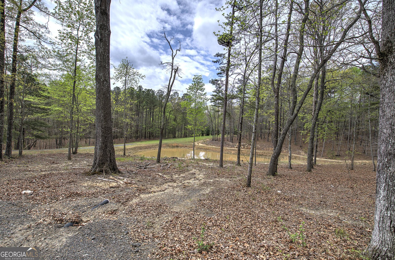 100 Buckwood Farms Path Dallas - Photo 27