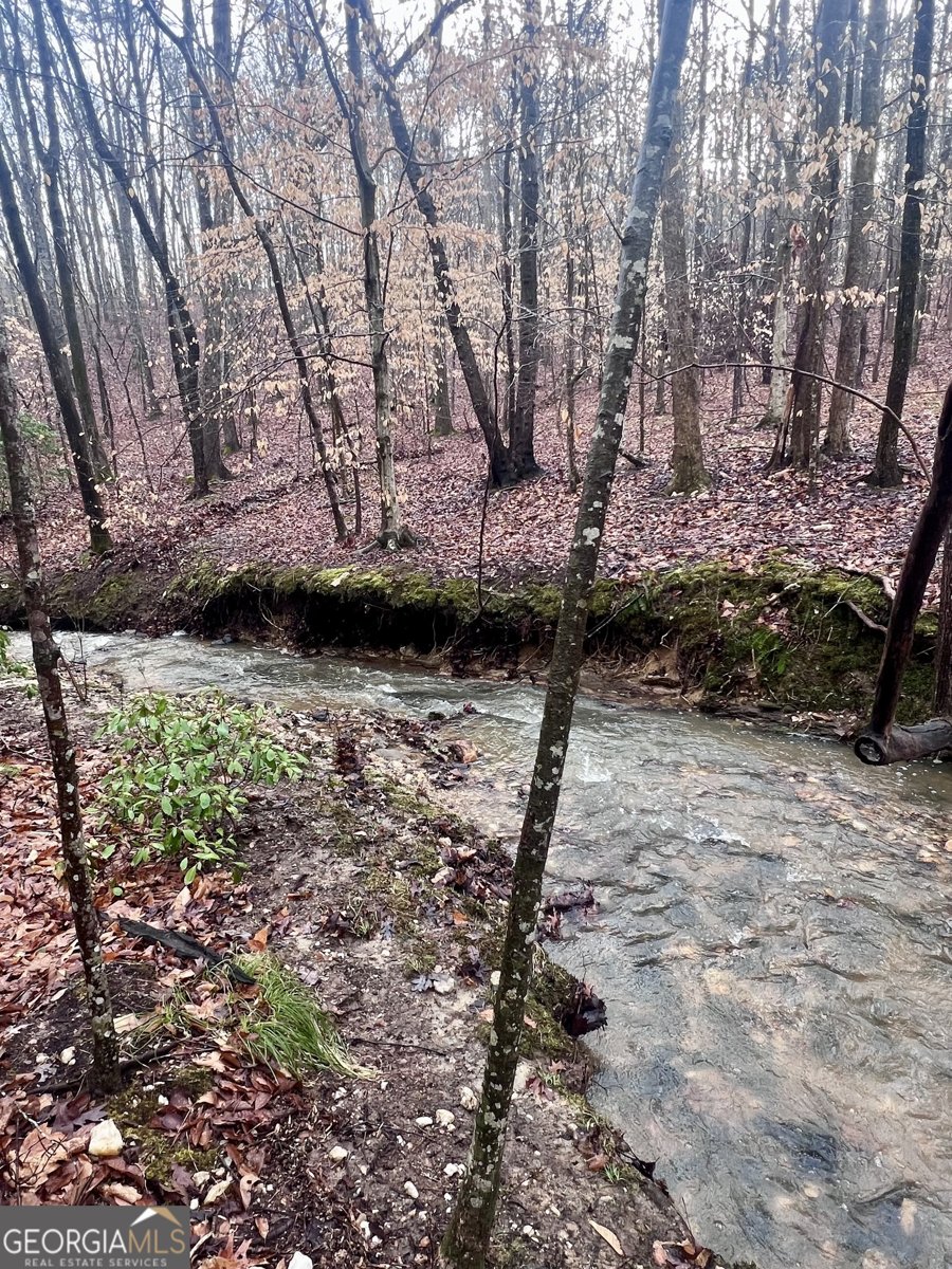 100 Buckwood Farms Path Dallas - Photo 98