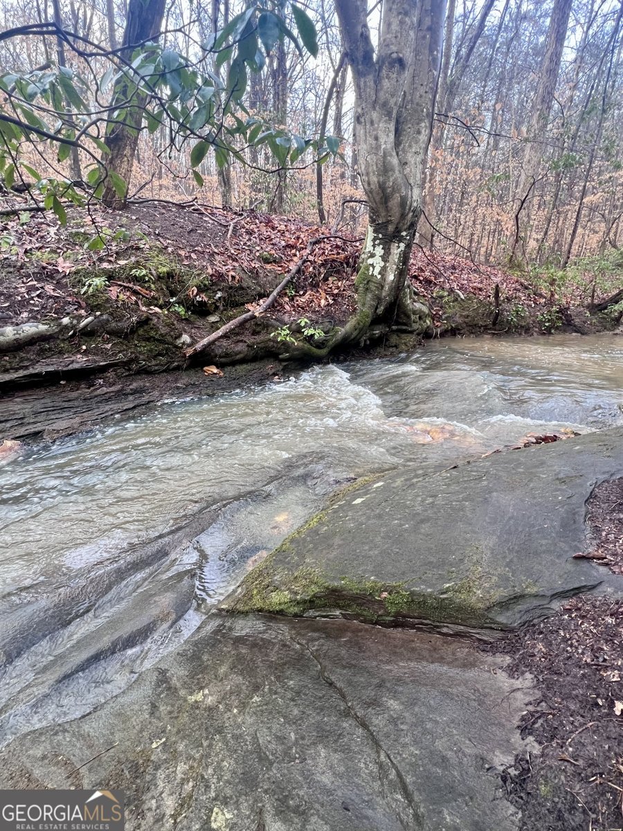 100 Buckwood Farms Path Dallas - Photo 99